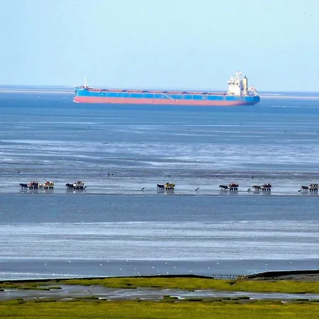 Apartment Strandhochhaus Sg12 *